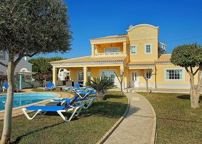 Coelha - Table Tennis And Pool Table 기아